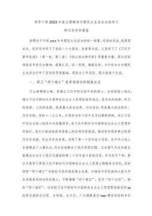 领导干部2023年度主题教育专题民主生活会会前学习研讨发言供借鉴.docx