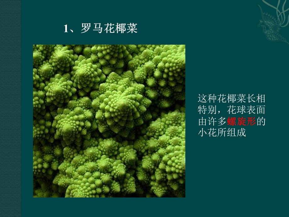 自然界十大奇异植物.ppt_第2页