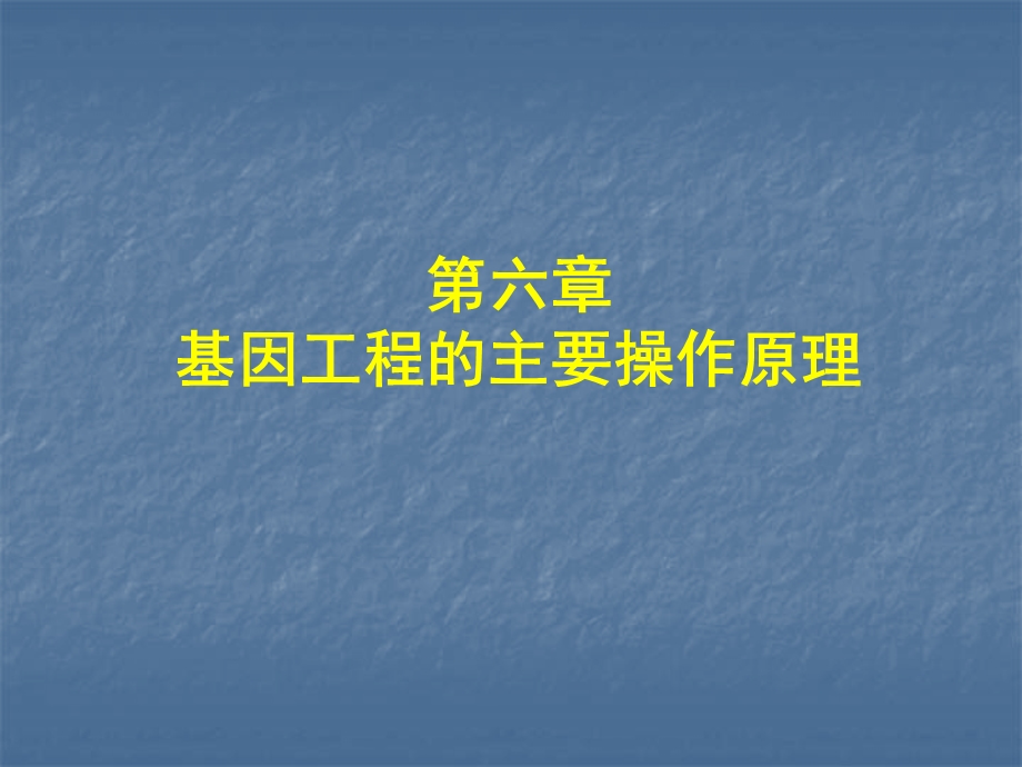 自学内容1基因工程基本操作.ppt_第1页