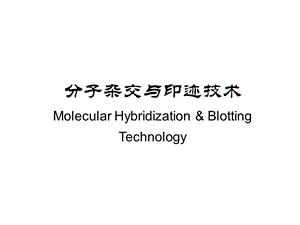 自学内容2分子杂交技术.ppt