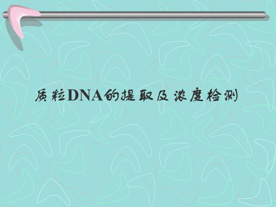 质粒DNA的提取及浓度判定.ppt_第1页