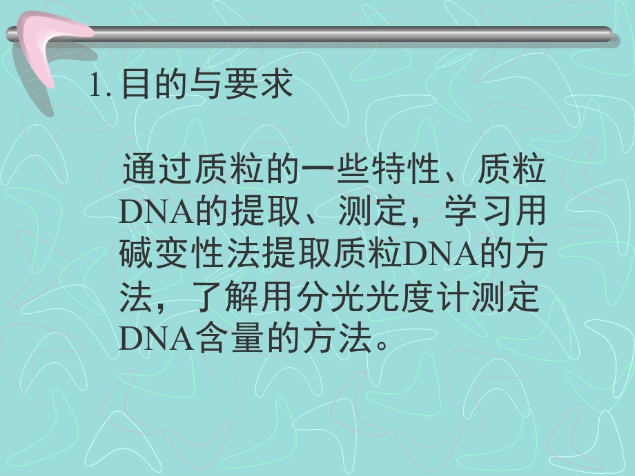 质粒DNA的提取及浓度判定.ppt_第2页