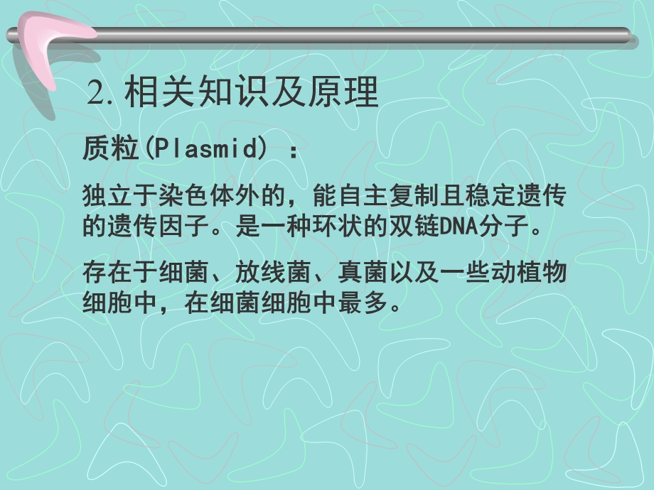 质粒DNA的提取及浓度判定.ppt_第3页