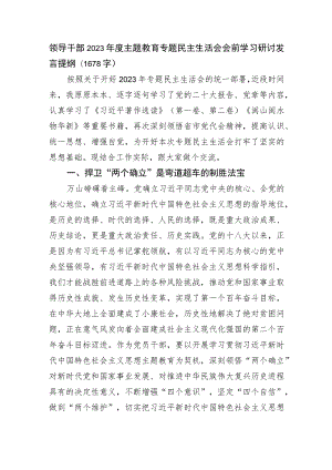 （会前）主题教育专题民主生活会会前学习研讨发言提纲.docx