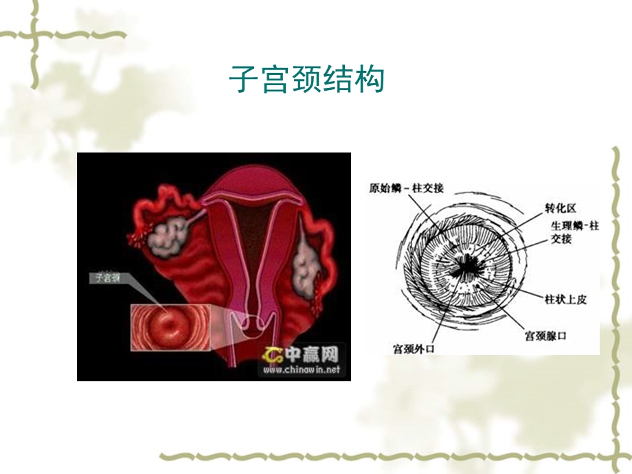 荧光检查棒0607.ppt_第3页