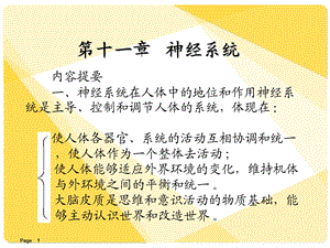 解剖学课件神经系统.ppt