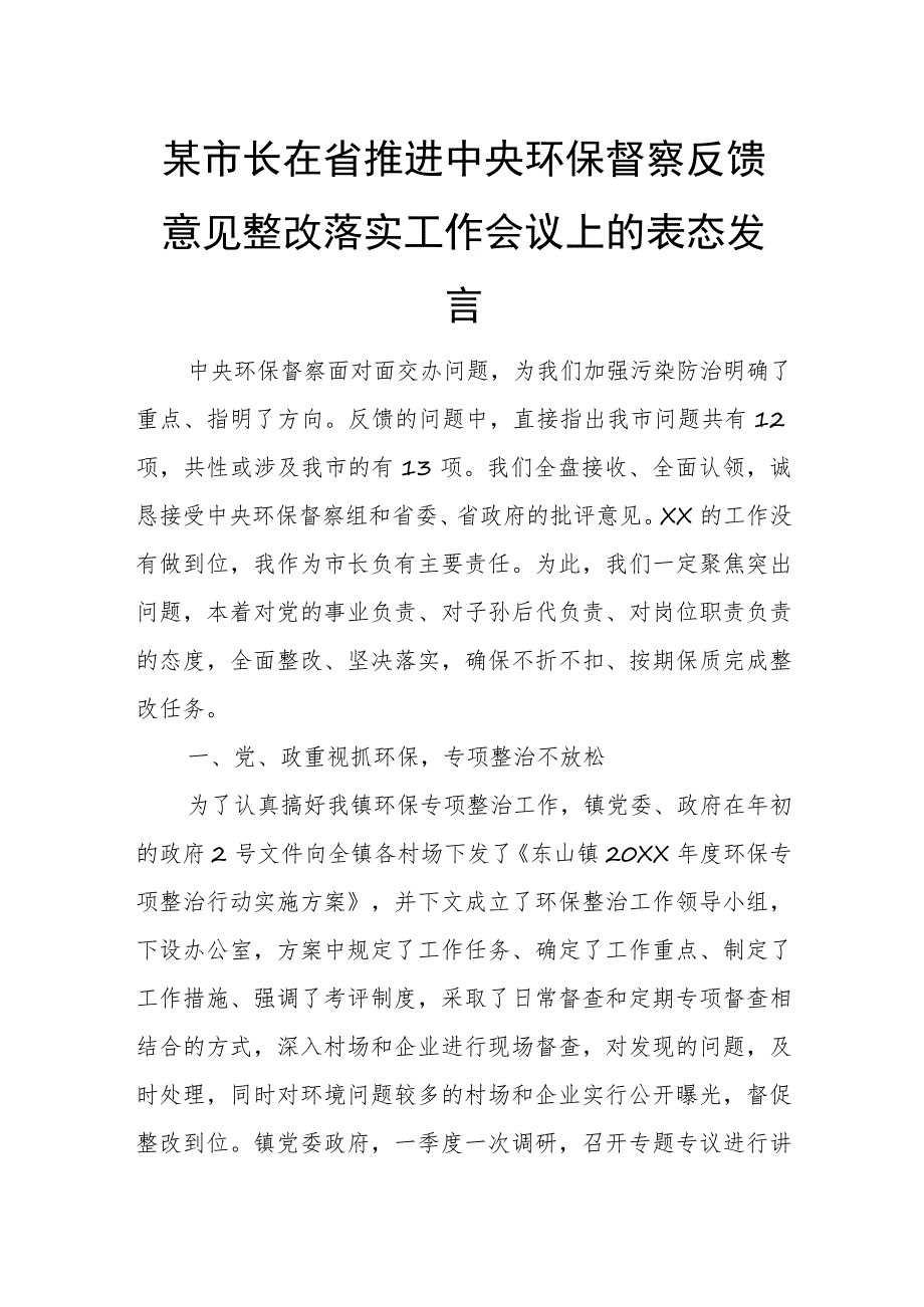 某市长在省推进中央环保督察反馈意见整改落实工作会议上的表态发言.docx_第1页