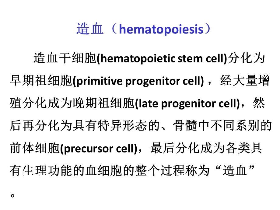 造血干细胞的发育调控.ppt_第2页