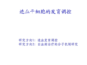 造血干细胞的发育调控.ppt