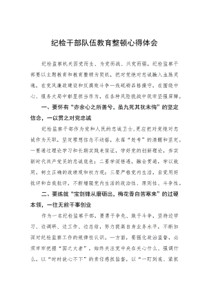 2023纪检监察干部队伍教育整顿学习个人心得体会(5篇).docx