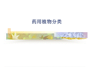 药用植物分类概述试讲内容.ppt