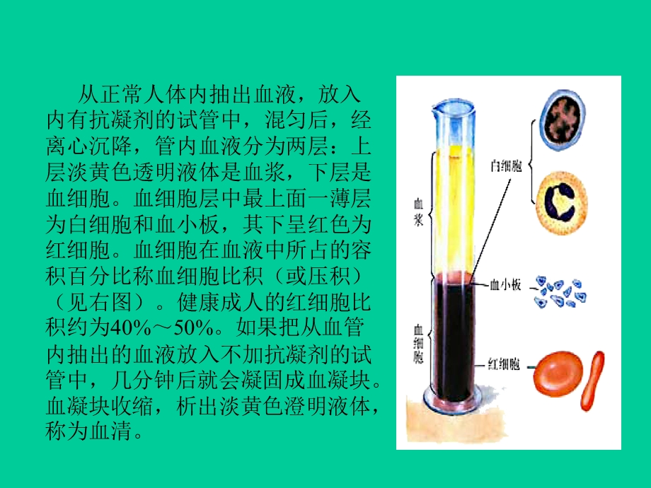 血液学临床知识基础.ppt_第3页