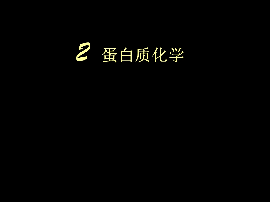 蛋白质12.ppt_第1页