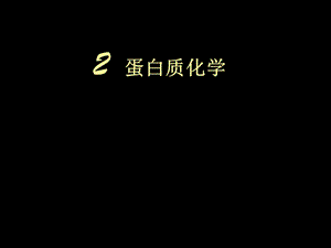 蛋白质12.ppt