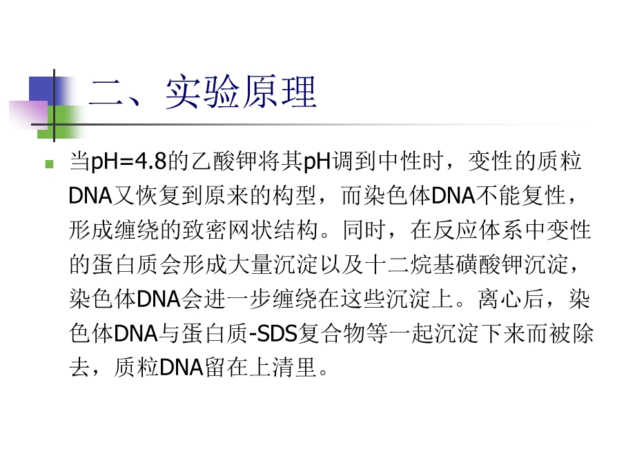 质粒DNA的提取及鉴定.ppt_第3页