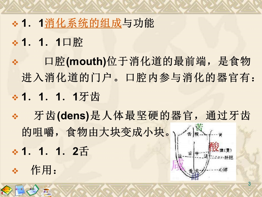 营养师食物的消化与吸收.ppt_第3页