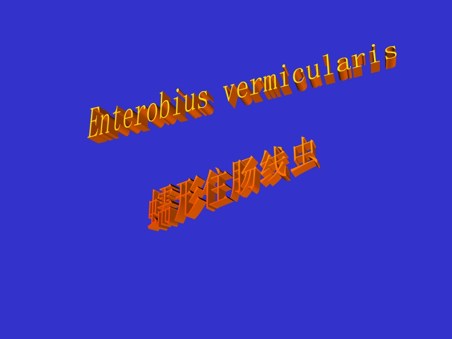 蛲虫CAI教学.ppt_第1页