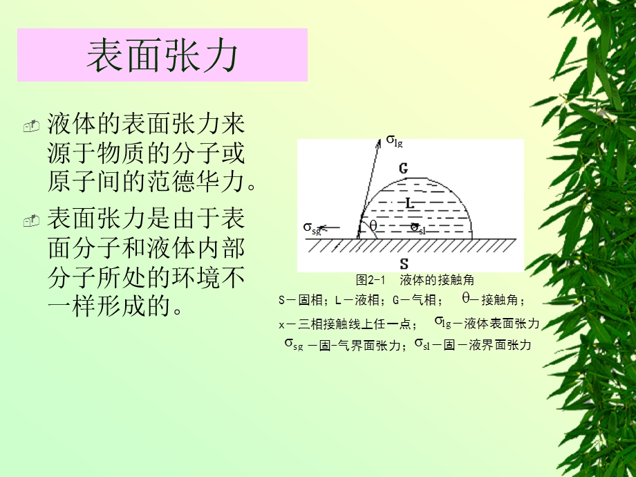 表面活性剂与洗涤剂.ppt_第3页