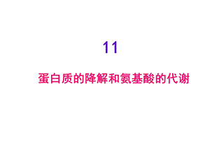 蛋白质的降解和氨基酸的代谢.ppt