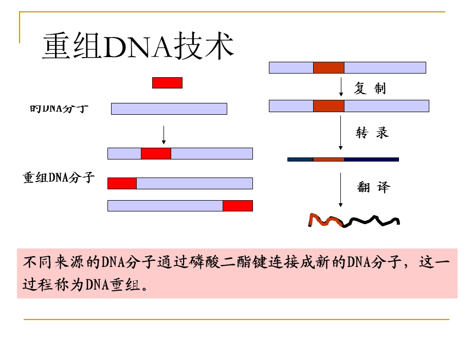 质粒提取实验11.ppt_第2页