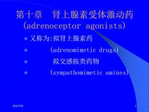 药理学第10章肾上腺素受体激动药.ppt