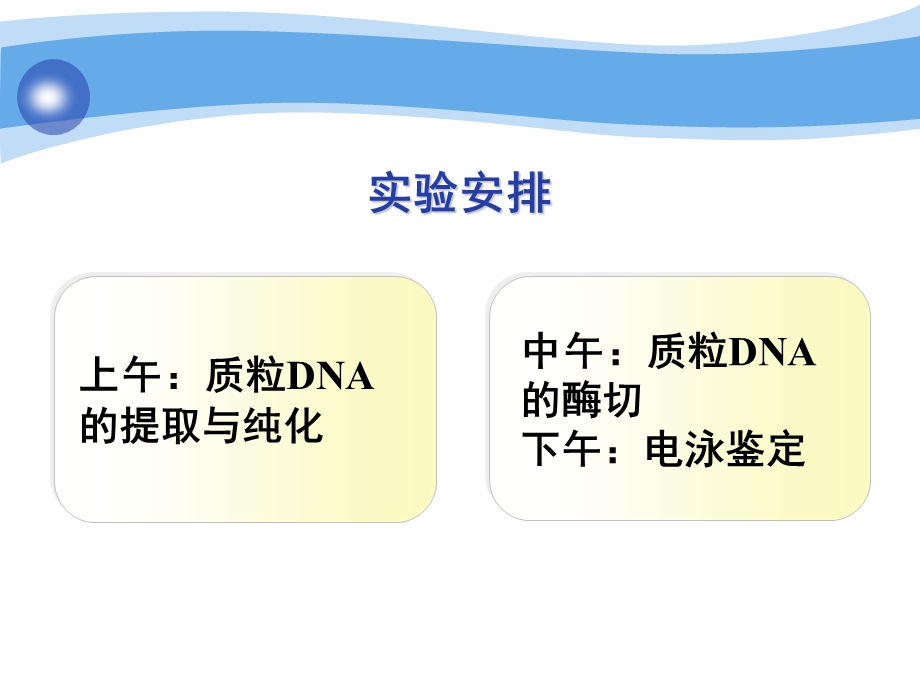 质粒DNA的抽提纯化与检测.ppt_第3页