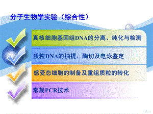 质粒DNA的抽提纯化与检测.ppt