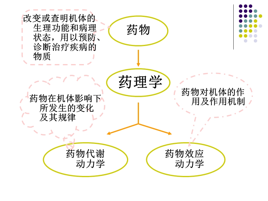 药理学第一至四章.ppt_第3页