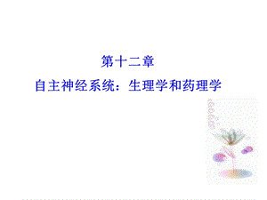 自主神经系统.ppt