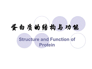 蛋白质和酶1121专题.ppt