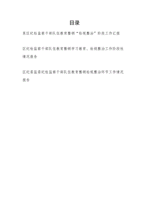 2023区纪检监察干部队伍教育整顿“检视整治”环节阶段工作总结汇报3篇.docx