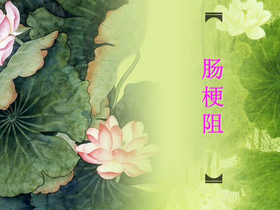 荷塘绿植物.ppt_第1页