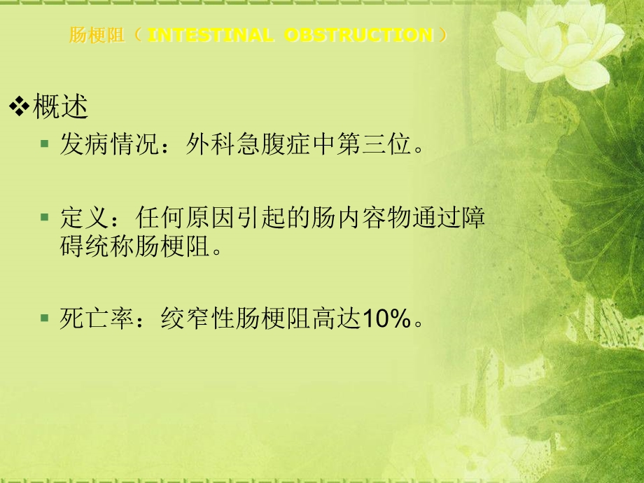 荷塘绿植物.ppt_第2页