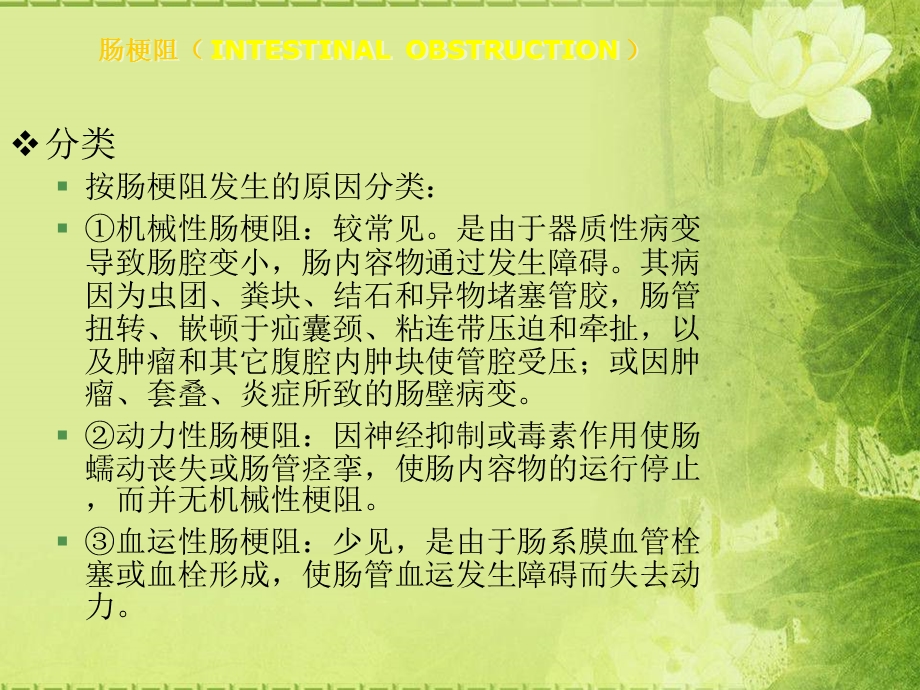 荷塘绿植物.ppt_第3页