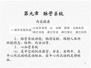 解剖学课件脉管系统.ppt