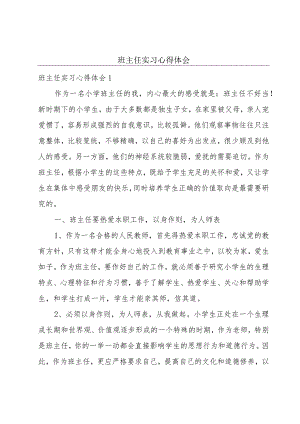 班主任实习心得体会.docx