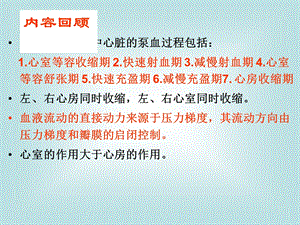 血液循环2.ppt