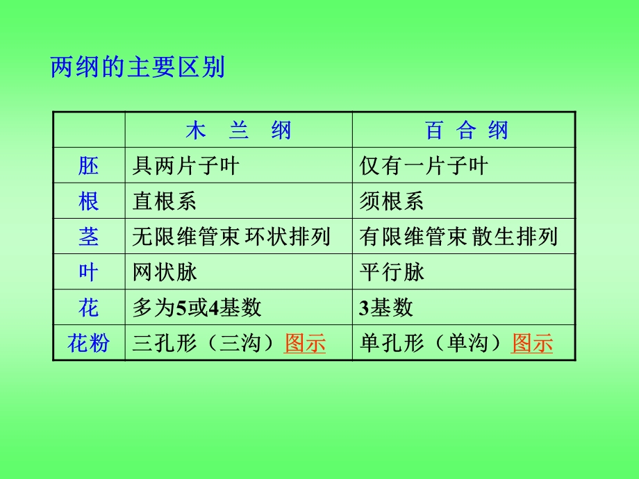 被子植物课件竞赛辅导.ppt_第3页