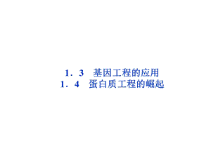 蛋白质工程的崛起2.ppt