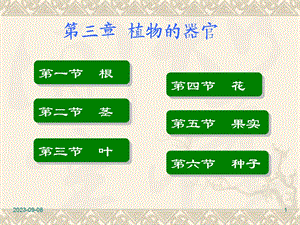 药用植物学与生药学第三章植物的器官一根茎叶.ppt