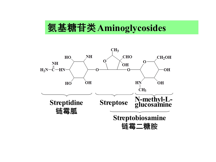 蛋白合成抑制剂.ppt_第3页