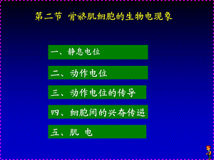 解剖学12.ppt