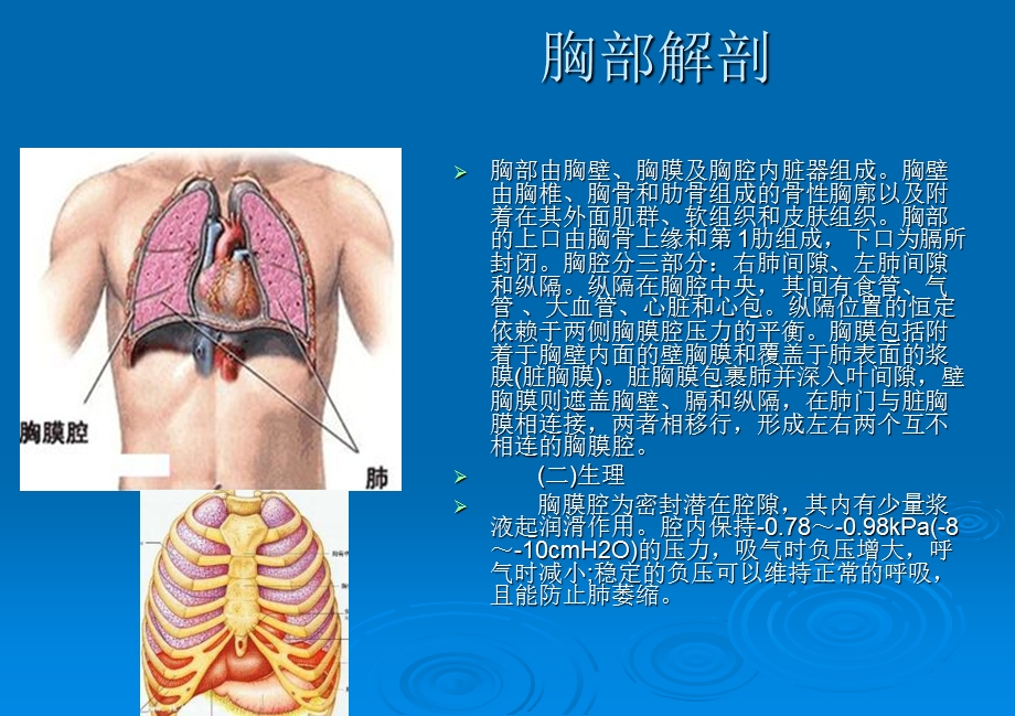 血胸护理ppt课件.ppt_第3页