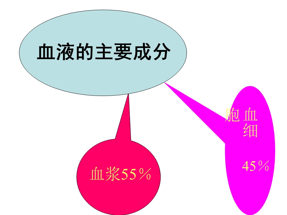 贫血概述ppt课件.ppt_第2页