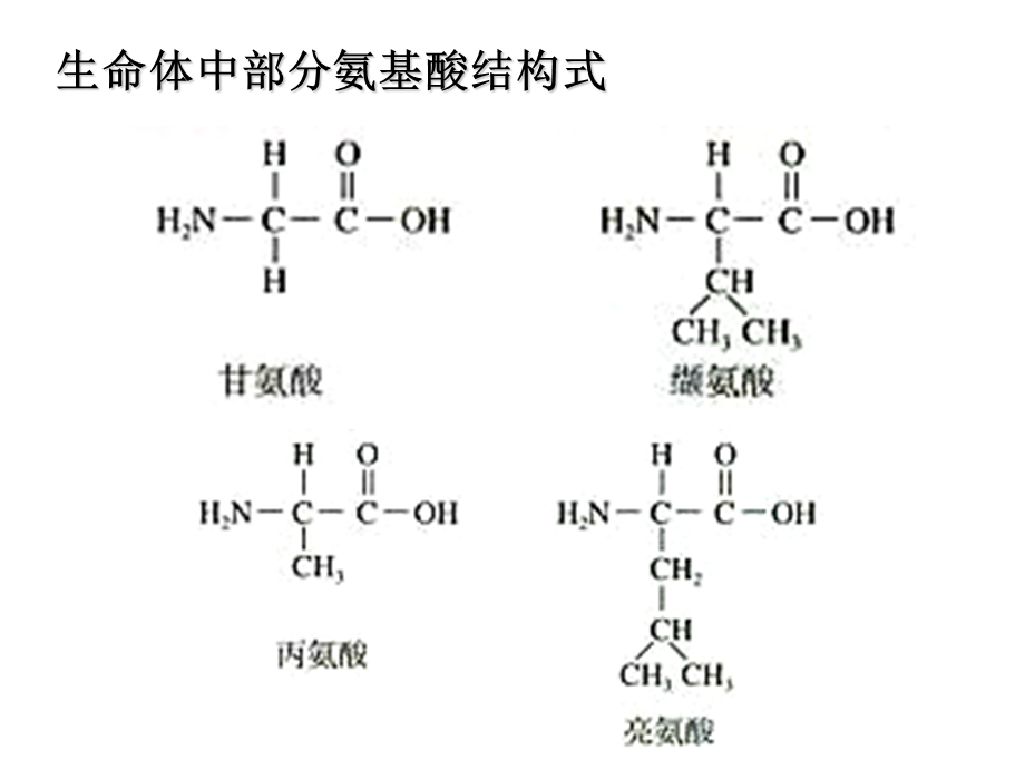 蛋白质的结构组成氨基酸的结构特点数量结构中心C2.ppt_第3页