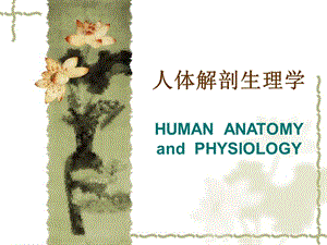 药学解剖生理学.ppt