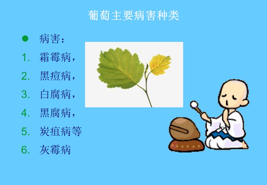 葡萄病虫害防治方案Optimized.ppt_第2页