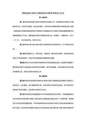 湖南省城乡居民大病保险承办服务考核试行办法-全文及解读.docx