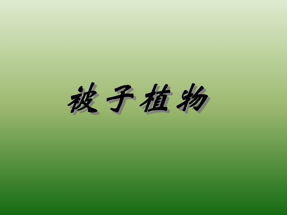 被子植物分类学11.ppt_第1页