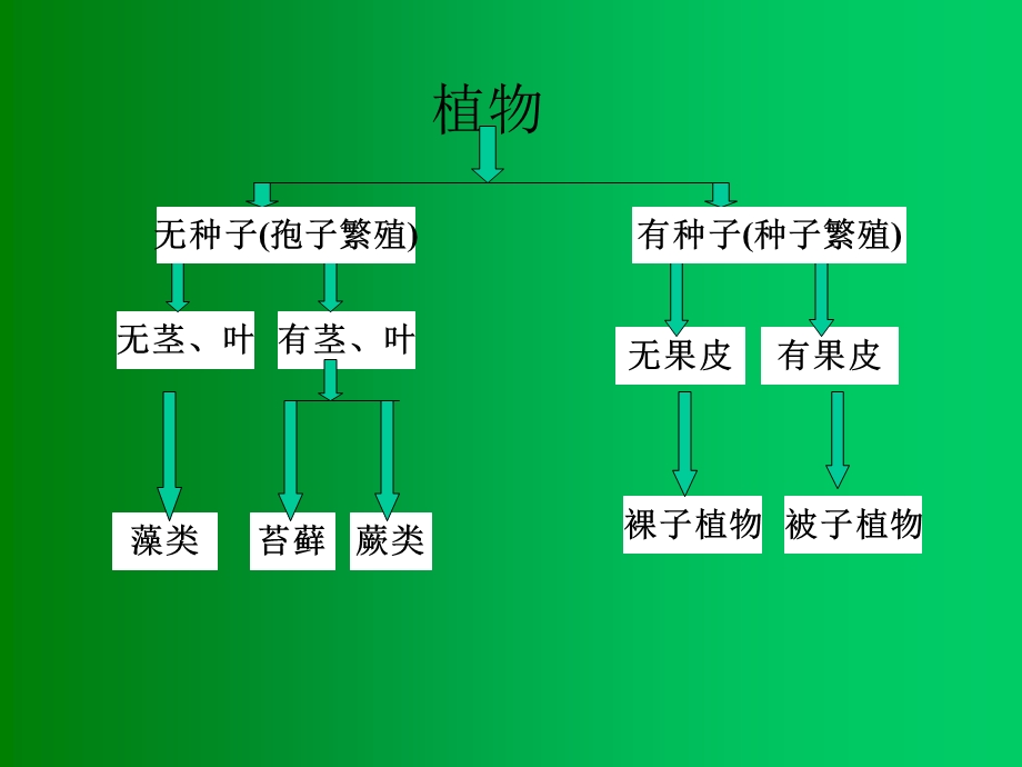 被子植物分类学11.ppt_第2页